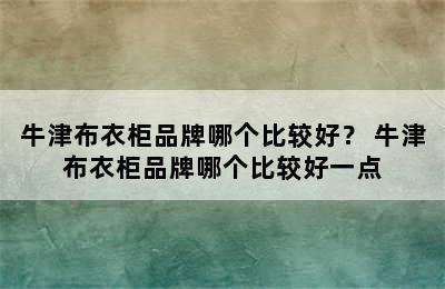 牛津布衣柜品牌哪个比较好？ 牛津布衣柜品牌哪个比较好一点